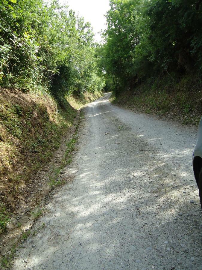 B&B Il Pittore Borgo San Lorenzo Kültér fotó